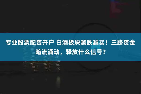 专业股票配资开户 白酒板块越跌越买！三路资金暗流涌动，释放什么信号？