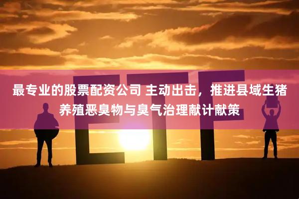 最专业的股票配资公司 主动出击，推进县域生猪养殖恶臭物与臭气治理献计献策
